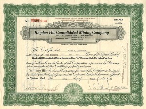 Hayden Hill Consolidated Mining Co. - Stock Certificate